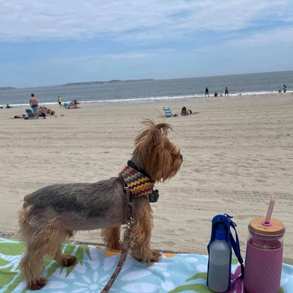 My Little  fur baby XHUY........ 🐾🐾❤️❤️🐾🐾🐾❤️ - Picture 13 of 16